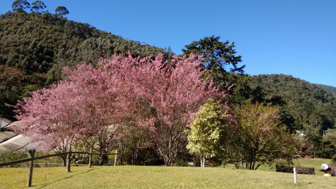 Mariza * Nova Friburgo